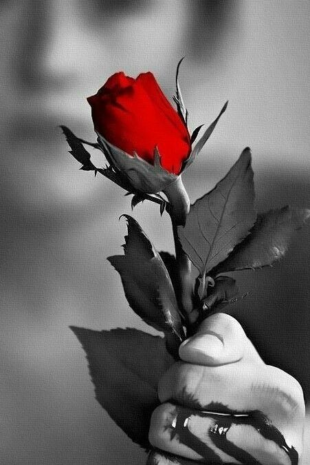 Oče, ki ljubi: ČLOVEŠKA BOLEZEN IZVIRA IZ MISLI, KI JE MOČNA, ČLOVEŠKO ZDRAVJE IZ MISLI, KI JE LJUBEČA. (Foto: Pinterest)