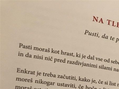 Alenka Rebula Tuta... (Foto: Lucia Klasinc)