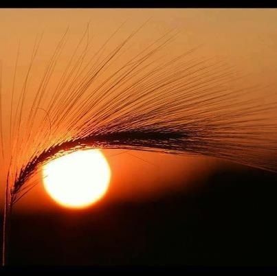 Oče, ki ljubi: VSAK BO LAHKO NA (NOVEM) INTERNETU NAŠEL SEBE KOT LJUBEZEN ALI KOT MOČ, VENDAR BO LJUBEZEN PREOBRAZILA MOČ. (Foto: Pinterest)